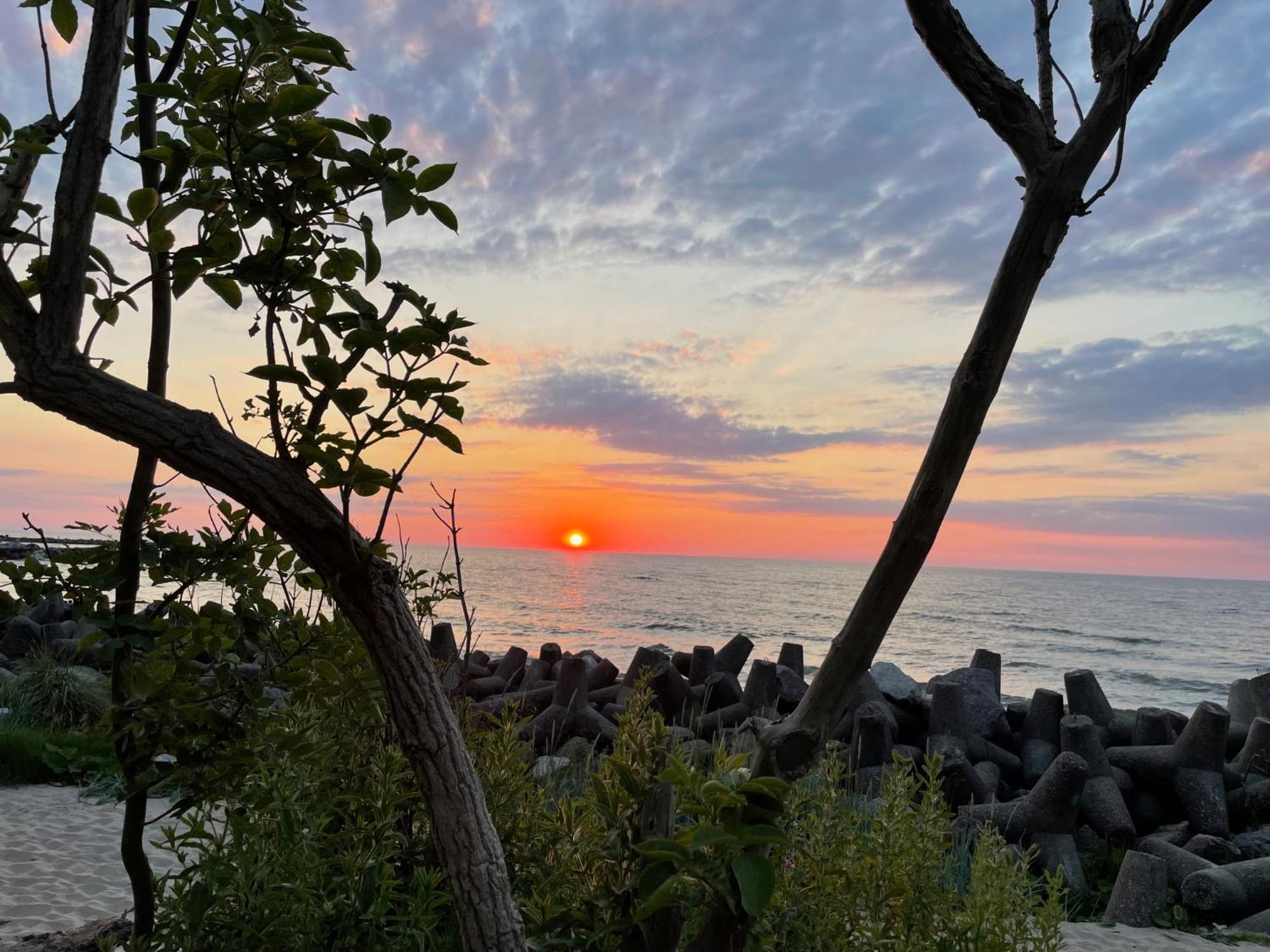 Domkitotu Jaroslawiec Bagian luar foto
